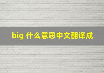 big 什么意思中文翻译成