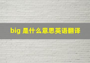 big 是什么意思英语翻译