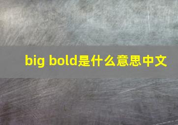 big bold是什么意思中文