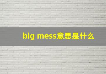 big mess意思是什么