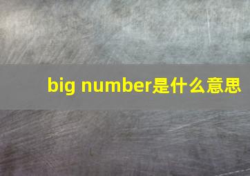 big number是什么意思