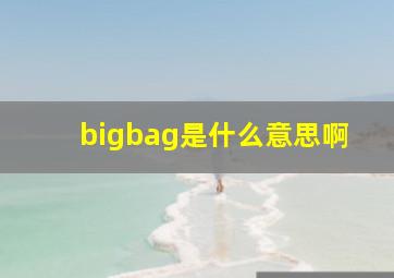 bigbag是什么意思啊