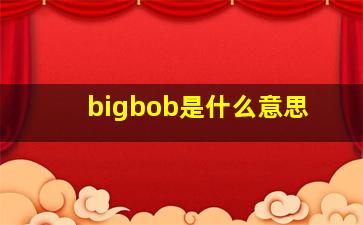 bigbob是什么意思