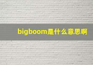 bigboom是什么意思啊