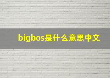 bigbos是什么意思中文