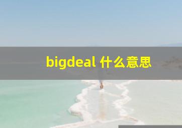 bigdeal 什么意思