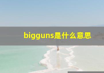 bigguns是什么意思