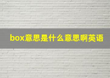 box意思是什么意思啊英语