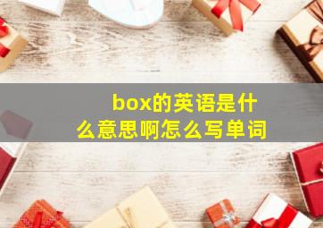 box的英语是什么意思啊怎么写单词