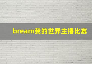 bream我的世界主播比赛