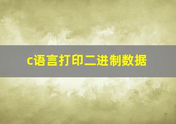 c语言打印二进制数据