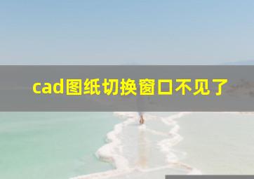 cad图纸切换窗口不见了