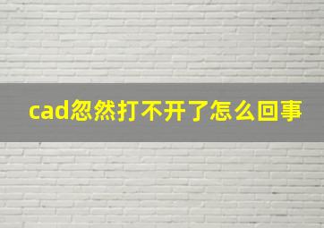 cad忽然打不开了怎么回事