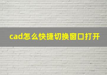 cad怎么快捷切换窗口打开