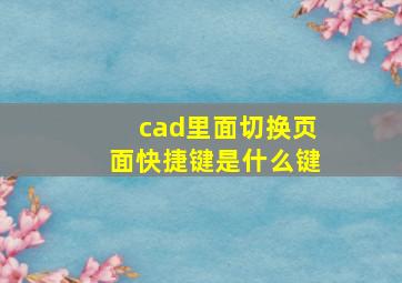 cad里面切换页面快捷键是什么键