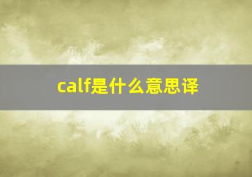 calf是什么意思译