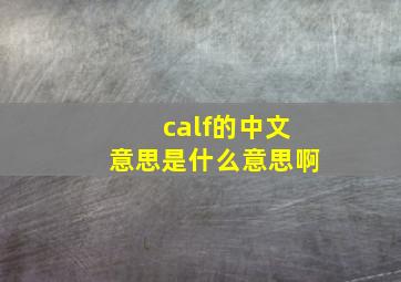 calf的中文意思是什么意思啊