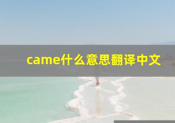 came什么意思翻译中文