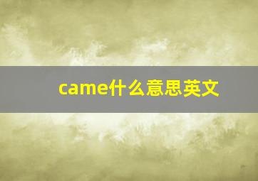 came什么意思英文