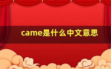 came是什么中文意思