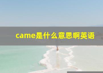 came是什么意思啊英语