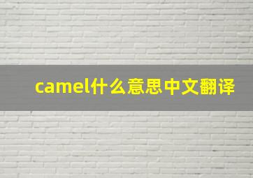 camel什么意思中文翻译