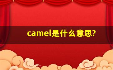 camel是什么意思?