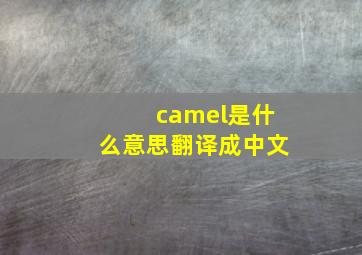 camel是什么意思翻译成中文