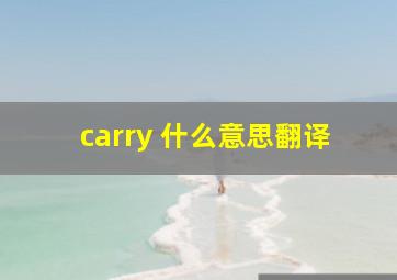 carry 什么意思翻译