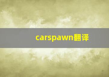 carspawn翻译