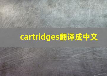 cartridges翻译成中文