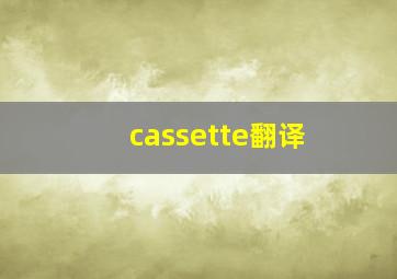 cassette翻译