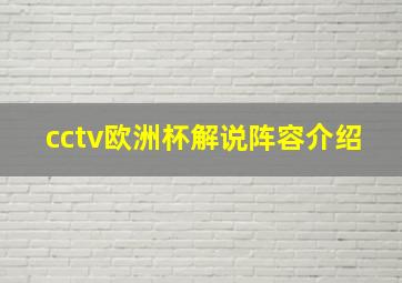 cctv欧洲杯解说阵容介绍