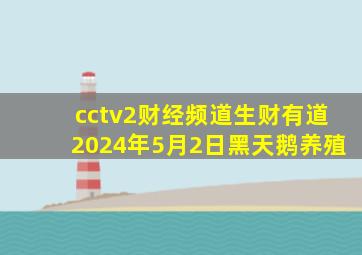 cctv2财经频道生财有道2024年5月2日黑天鹅养殖