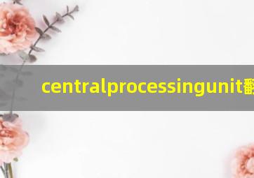 centralprocessingunit翻译