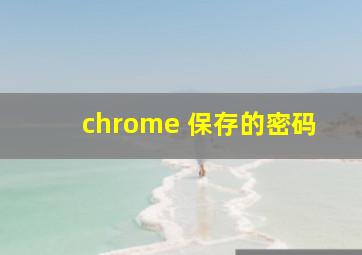 chrome 保存的密码