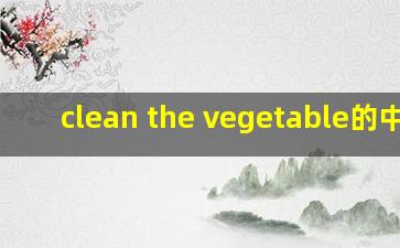 clean the vegetable的中文