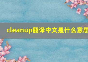 cleanup翻译中文是什么意思