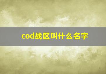 cod战区叫什么名字