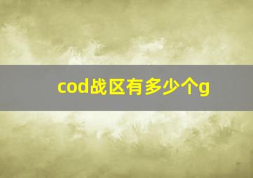 cod战区有多少个g