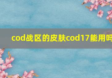 cod战区的皮肤cod17能用吗