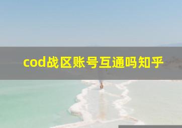 cod战区账号互通吗知乎