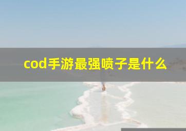 cod手游最强喷子是什么