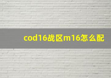 cod16战区m16怎么配