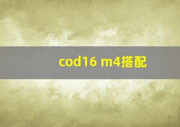 cod16 m4搭配