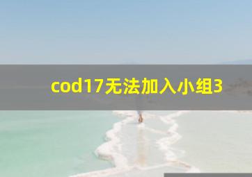 cod17无法加入小组3