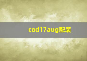 cod17aug配装