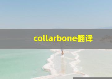 collarbone翻译