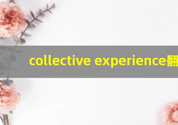 collective experience翻译