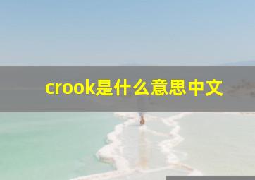 crook是什么意思中文